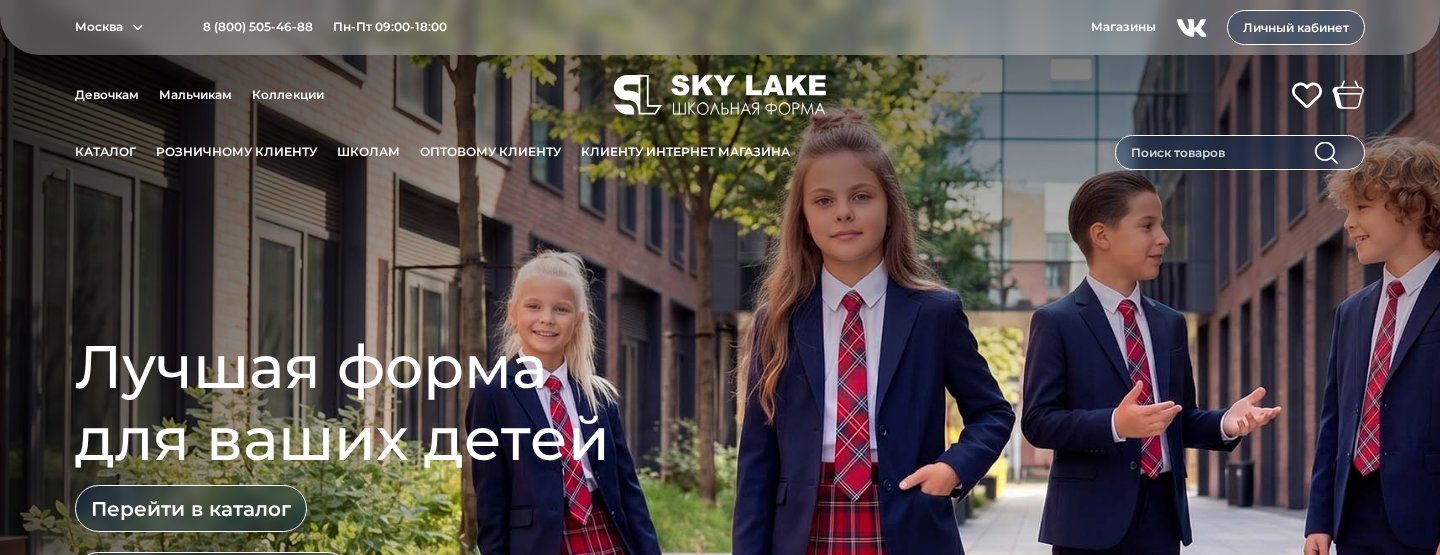 Кейс SEO-продвижения skylake.ru